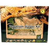 Galapagos - Terrarium Starter Kit Arid Environment Online